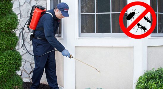 Akkuş Gümüşkurt İlaçlama böcek ilaçlama ve haşere kontrolü — ilaclama-tr.com